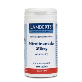 NICOTINAMIDE (B3) 250MG 100TABS Βιταμινη B